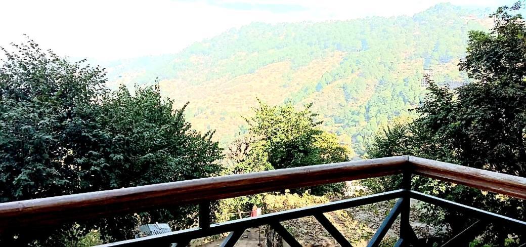 Wildleaf Kasauli Valley Homz Bed & Breakfast Dış mekan fotoğraf