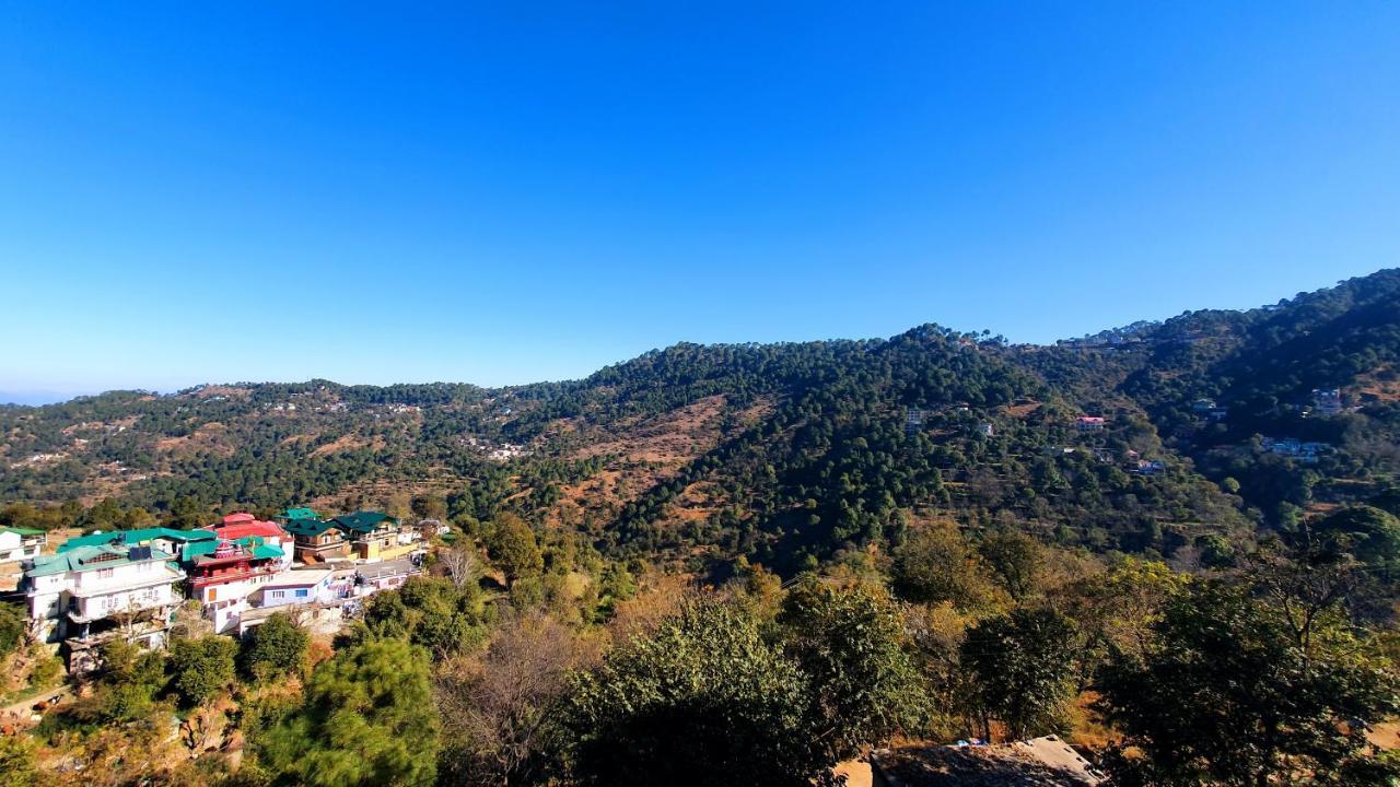 Wildleaf Kasauli Valley Homz Bed & Breakfast Dış mekan fotoğraf
